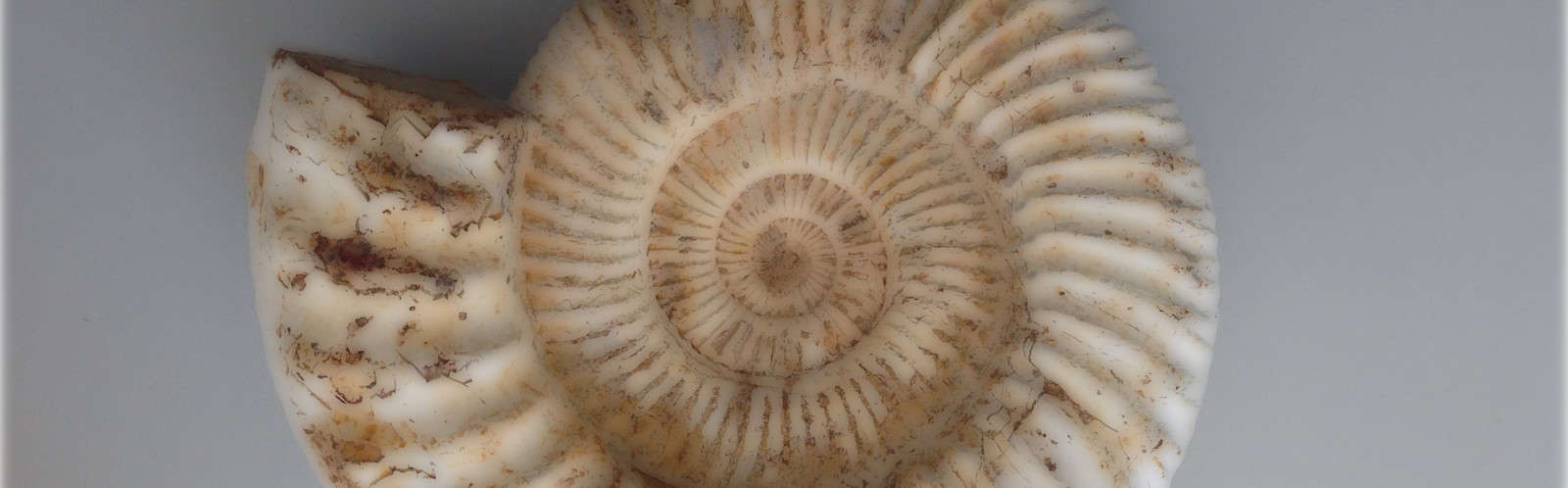 Graviton image ETHZ gloom