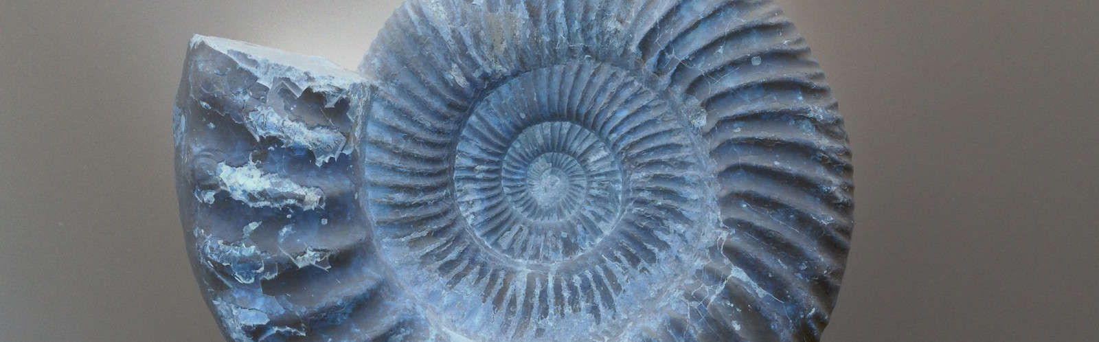 Graviton image ETHZ invert