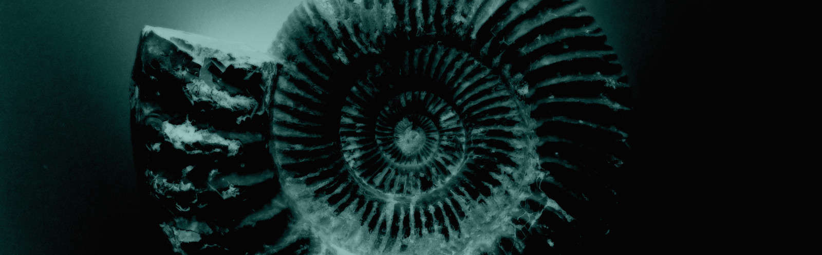 Graviton image ETHZ x-ray