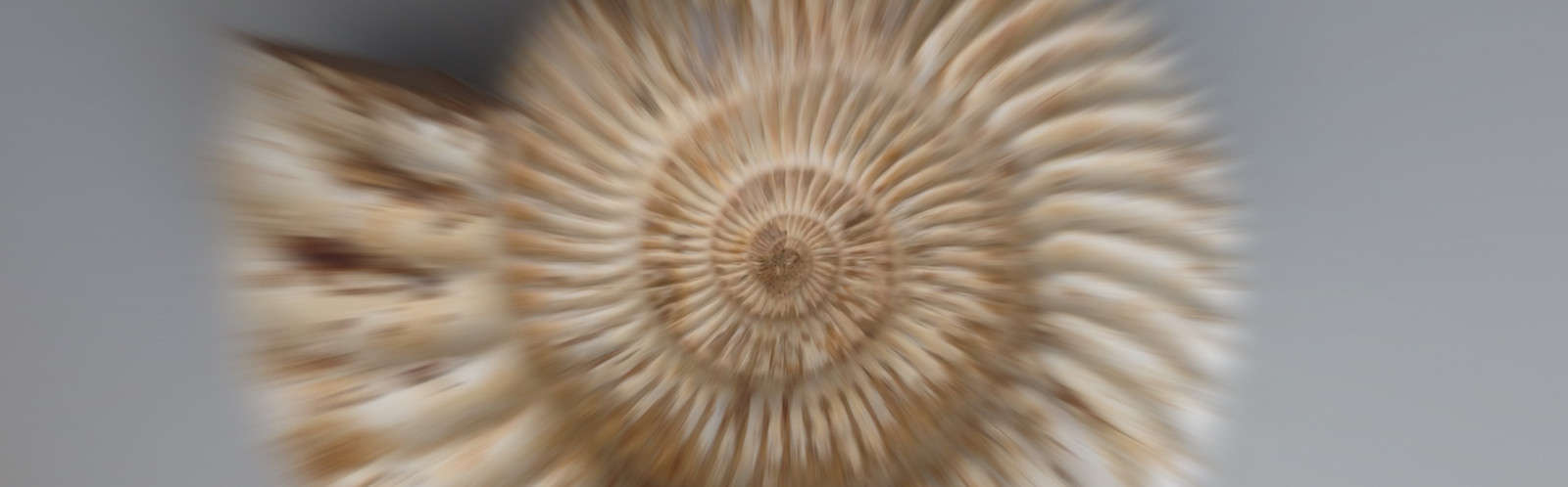 Graviton image ETHZ zoom